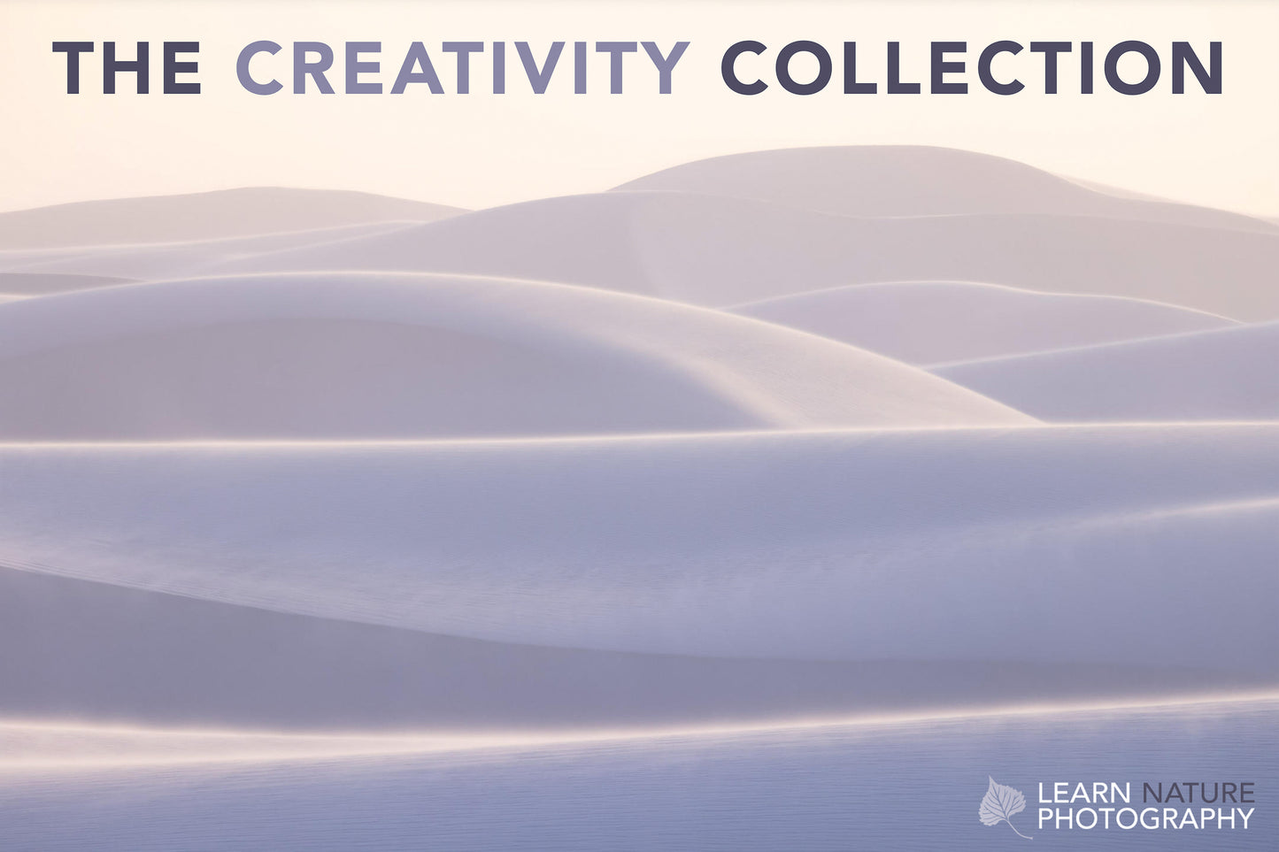 Learn Nature Photography: Creativity Collection