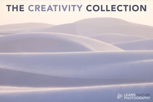 Learn Nature Photography: Creativity Collection