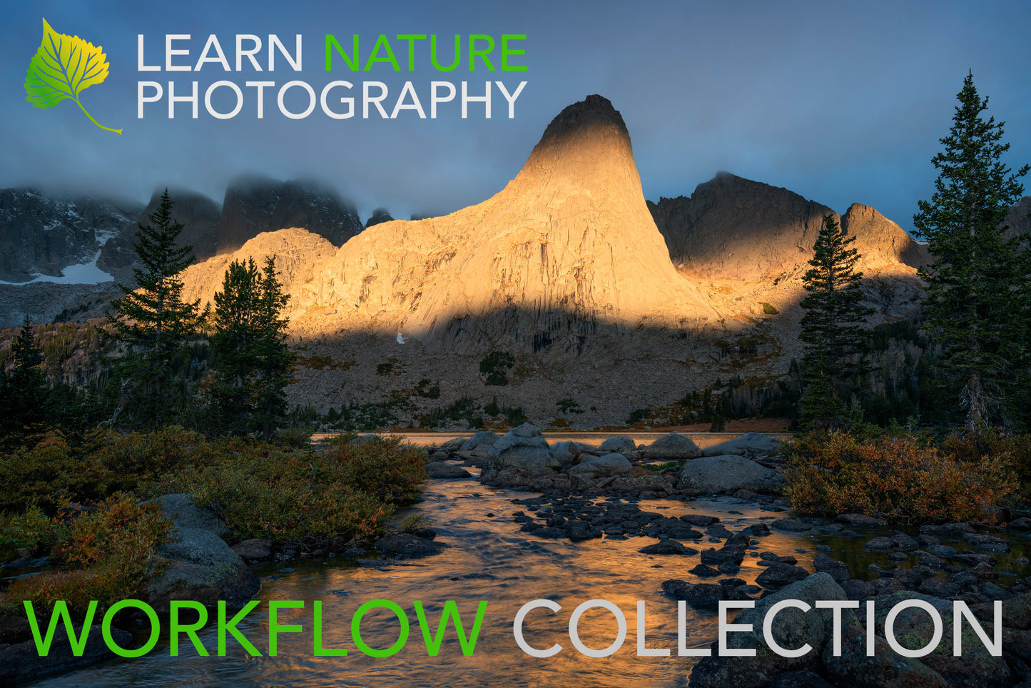 Learn Nature Photography: Workflow Collection